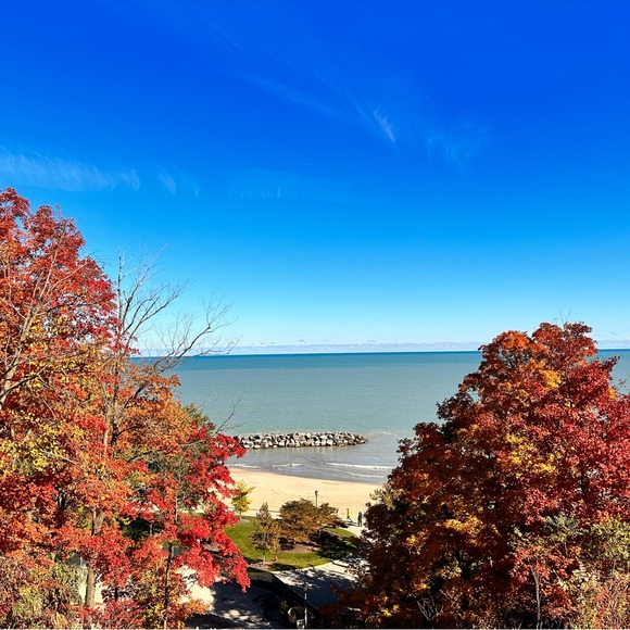 Meet your Posher, Emmy’s Edit - Picture 6 of 16